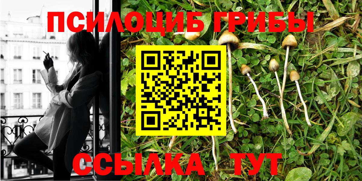 Псилоцибиновые грибы MAGIC MUSHROOMS Щёлково