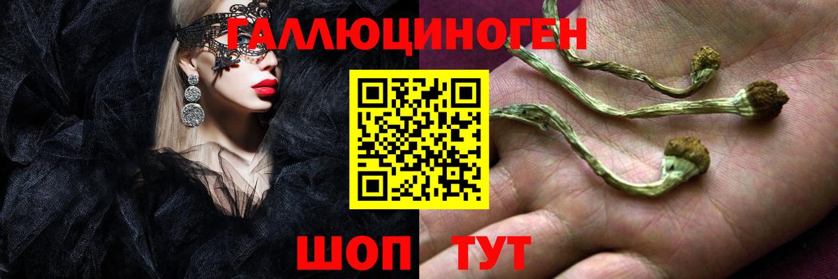 Щёлково  Псилоцибиновые грибы Magic Shrooms  купить наркотики цена  Вход с VPN 