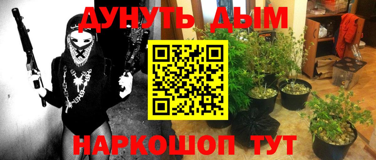 МАРИХУАНА OG Kush Щёлково